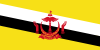 TV Brunei Live Streaming