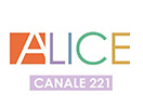 Nonton Alice TV live streaming gratis