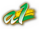 Nonton A1 Islam live streaming gratis