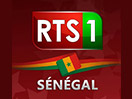RTS 1 Sénégal live