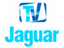 Nonton TV Jaguar live streaming gratis