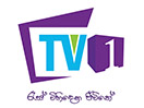 Nonton TV 1 live streaming gratis