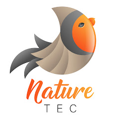 Nonton Uplengen Bird and Hedgehog Feeder Cam live streaming gratis
