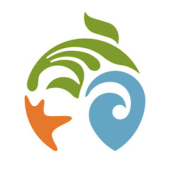 Nonton Vancouver Aquarium Sea Otter Cam live streaming gratis