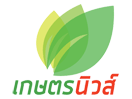 Nonton Kaset News Channel live streaming gratis